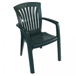 Diana chair - green