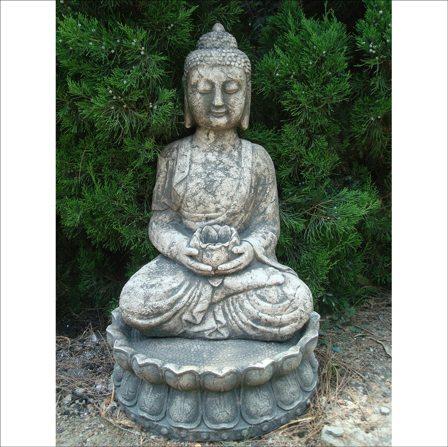 Buddha Traditional Statue