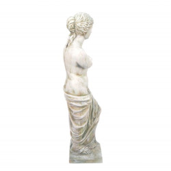 Venus-R (1)
