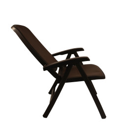 Delta reclining chair - 4