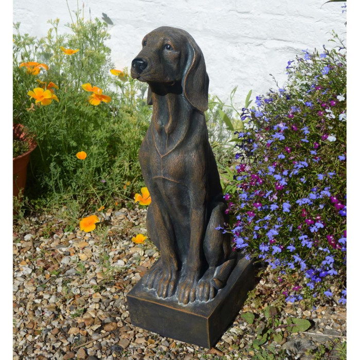 Sitting Dog