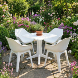 ZP WPONTS 04WGBL0_01