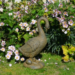 Goose Low 60cm Rust Effect [picture 01] a lifestyle image