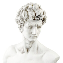David Bust 59Cm White Stone Effect picture 05 a detail image