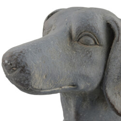 Sausage Dog Planter 30Cm Blue Iron Effect picture 05 a detail image
