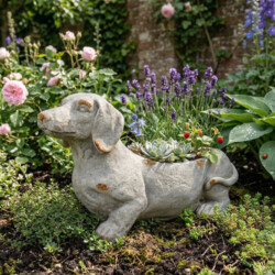 Sausage Dog Planter 30Cm Weathered Light Stone Effect picture 01 a garden lifestyle image